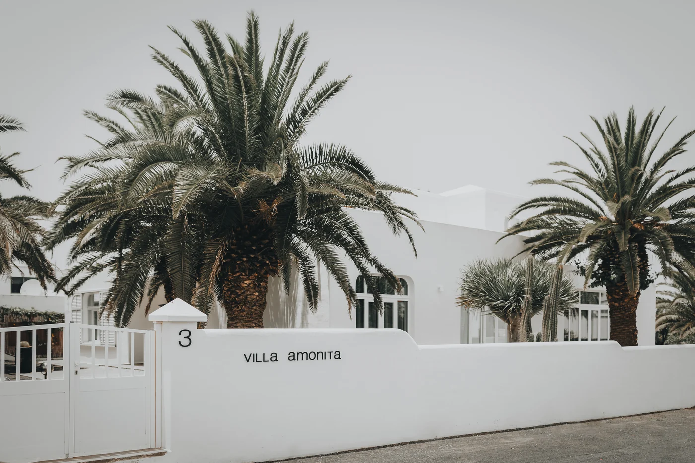 Villa Amonita’s white walls and palms in Tiagua